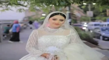 الاستغلال التجاري لحادث عروس المنوفية يثير غضب الجمهور ويطرح أسئلة أخلاقية حول التسويق 1